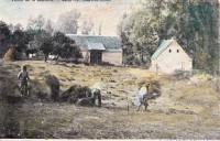 Saint-Cyr-sur-Loire - Vallon de la Choisille.