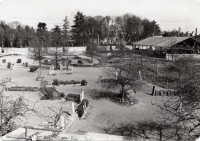 Saint-Cyr-sur-Loire - La Grenadière - Centre de formation équestre - photographie.