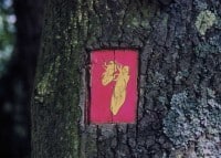 Saint-Cyr-sur-Loire - Les collections du parc de la Perraudière - Cécile Pitois - Petits instants de la vie quotidienne de nos insectes, 2000.