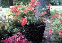 Saint-Cyr-sur-Loire - Les collections du parc de la Perraudière - Patrick Saytour - Sans titre, 1989.