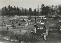 Saint-Cyr-sur-Loire - La Grenadière - Centre de formation équestre.