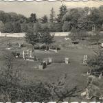 Saint-Cyr-sur-Loire - La Grenadière - Centre de formation équestre.