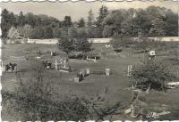 Saint-Cyr-sur-Loire - La Grenadière - Centre de formation équestre.